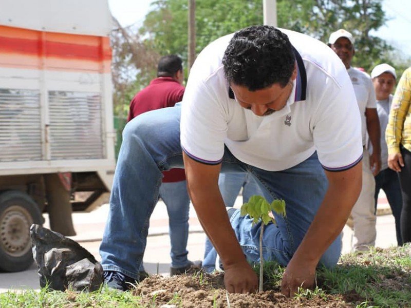 Municipios se suman a plan de reforestación