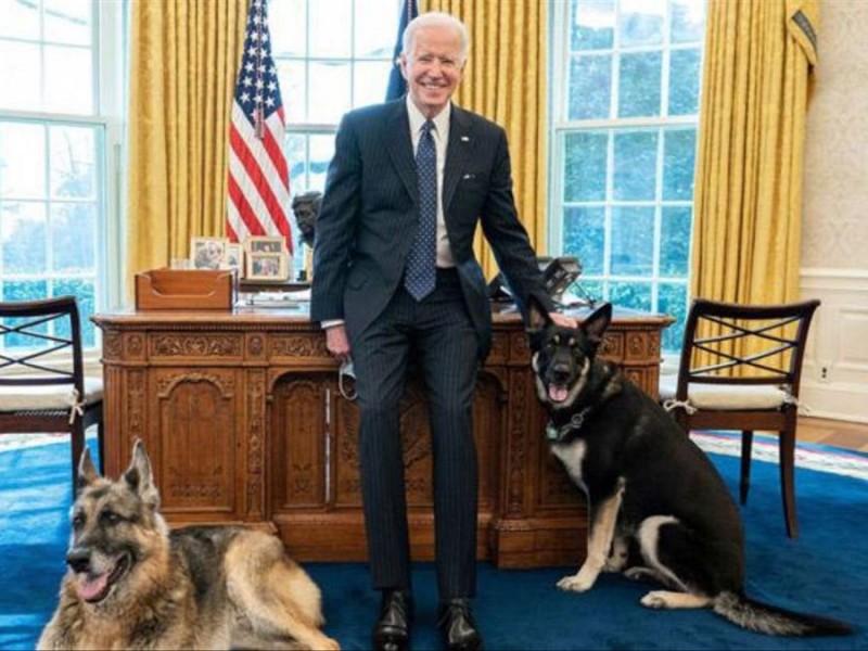 Murió Champ, uno de los perros del presidente Biden