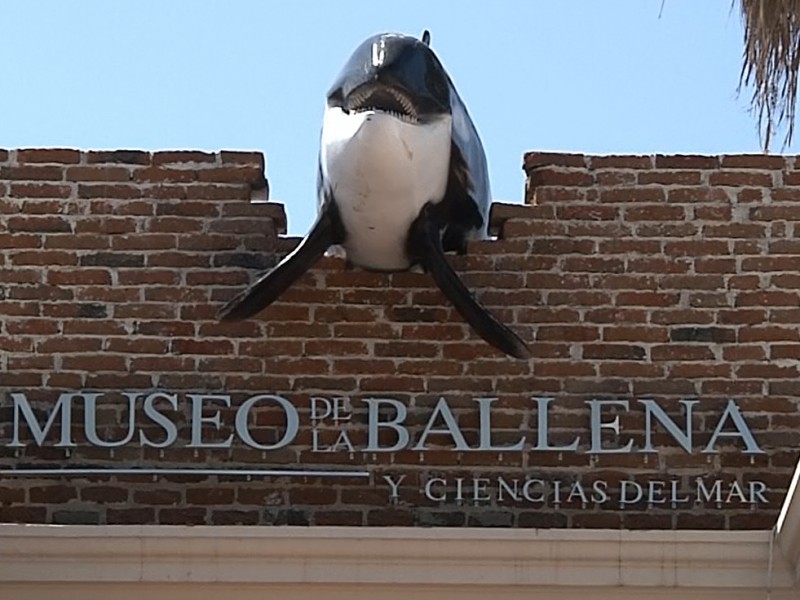 Museo de la Ballena cierra el 20 Agosto