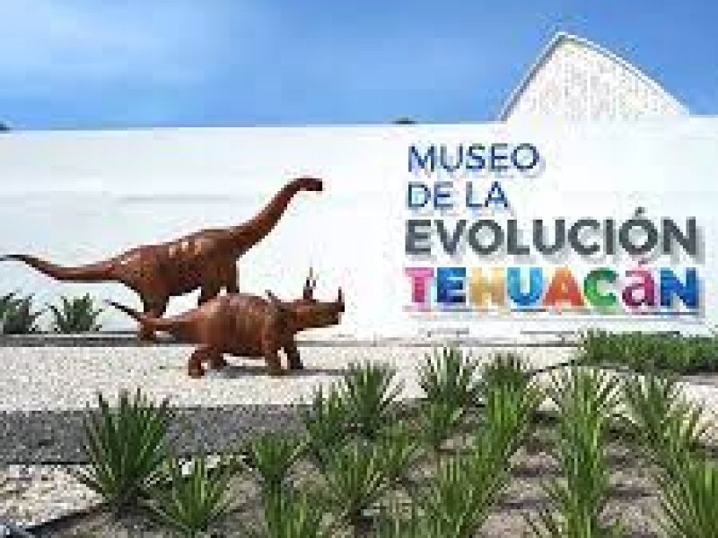 Museo de la Evolución hasta en dos meses listo.