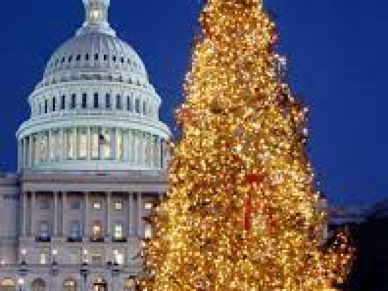 Nativos americanos donan árbol de navidad a Capitolio de Arizona