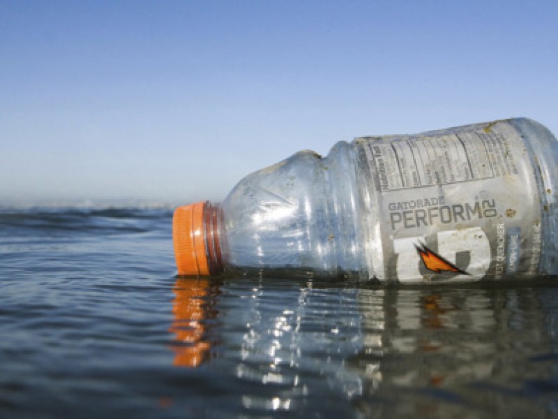 Naturaleza resiente contaminación tras apertura de sitios turísticos