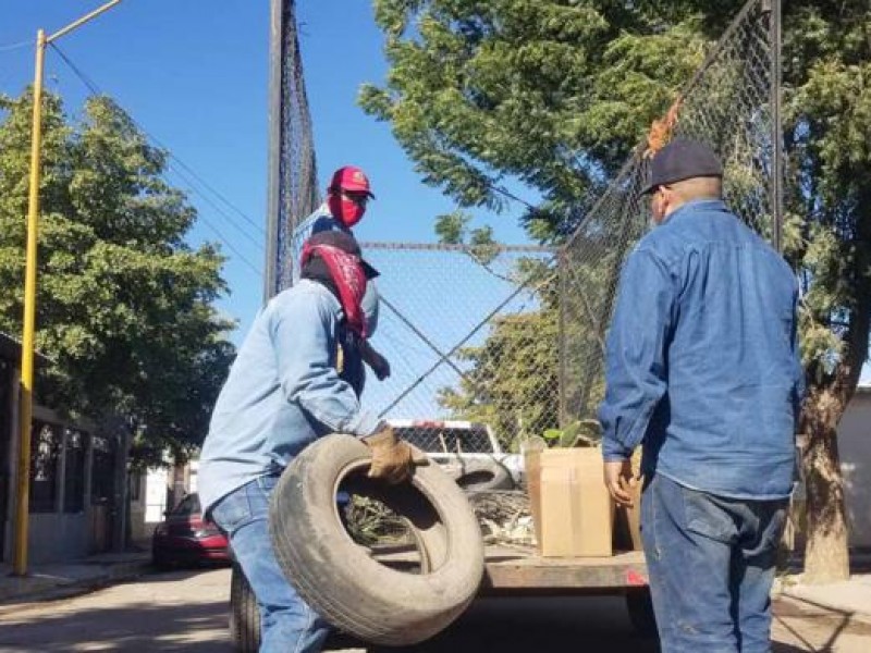 Navojoa: Activarán descacharre como acción preventiva contra el dengue