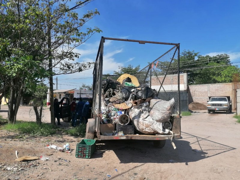 Navojoa: Alertan por dengue y activan descacharre