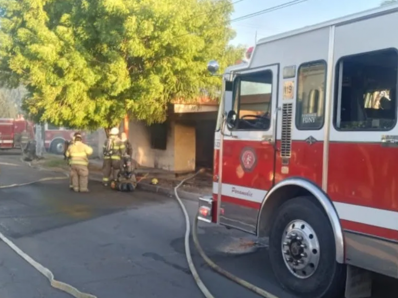 Navojoa: Bomberos tiene hasta 5 llamados diarios por abejas