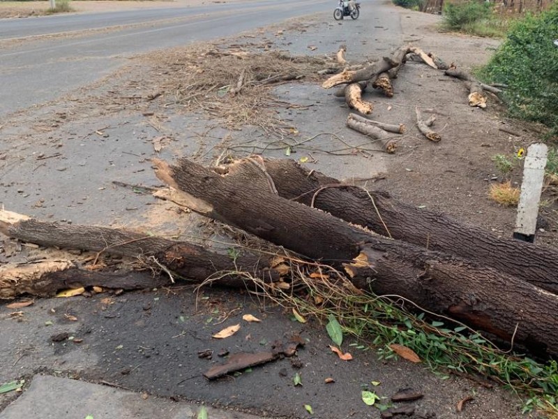 Navojoa: Cae primera lluvia y deja afectaciones menores