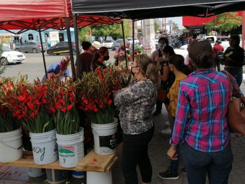 Navojoa: Exigen floristas regular expedición de permisos