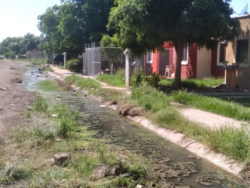 Navojoa: Fraccionamiento los Arroyos, seis años viviendo entre drenajes