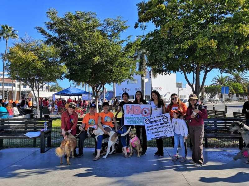 Navojoa: Marcharán por el Derecho de los Animales