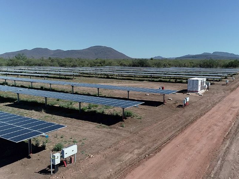 Parque solar en Navojoa da esperanza de más empleos