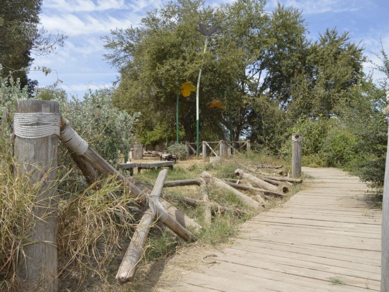 Navojoa: Parque 