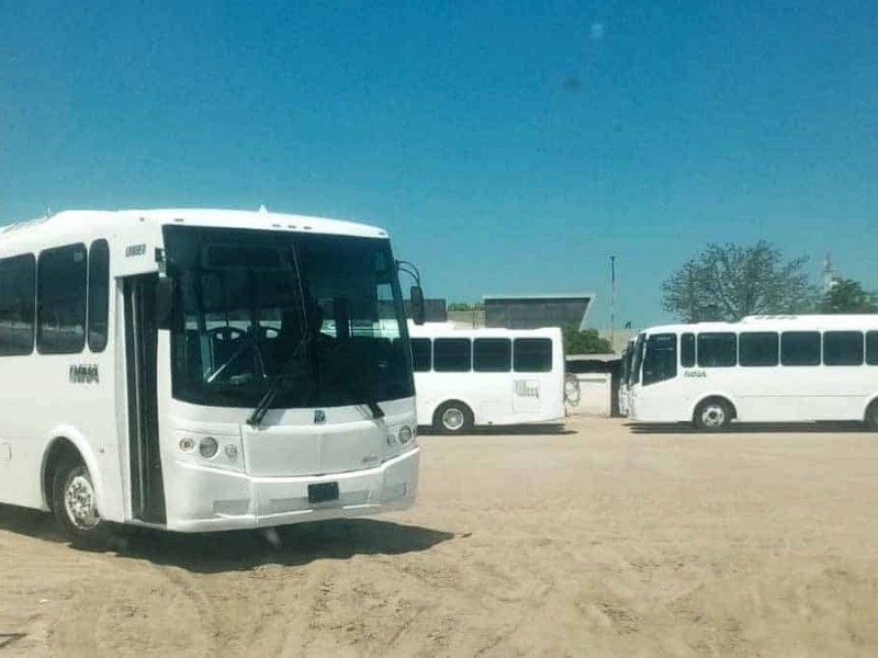 Navojoa: Plan Piloto de Transporte sin iniciar, esperan más unidades