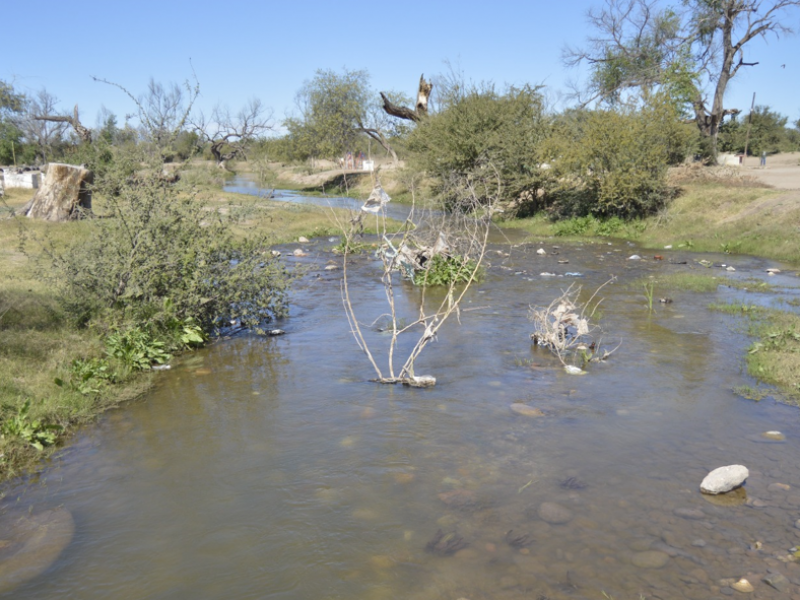 Navojoa: Río Mayo recupera su escencia emblematica