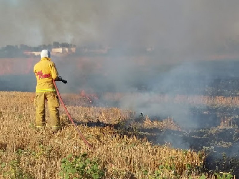 Navojoa sólo ha aplicado 3 sanciones por quema de gavilla