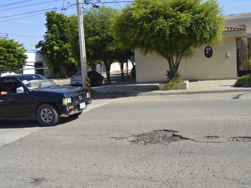 Navojoa tienen 19 mil baches, tres mil han sido atendidos