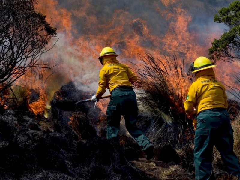 Nayarit, 4to lugar en incendios forestales activos actualmente