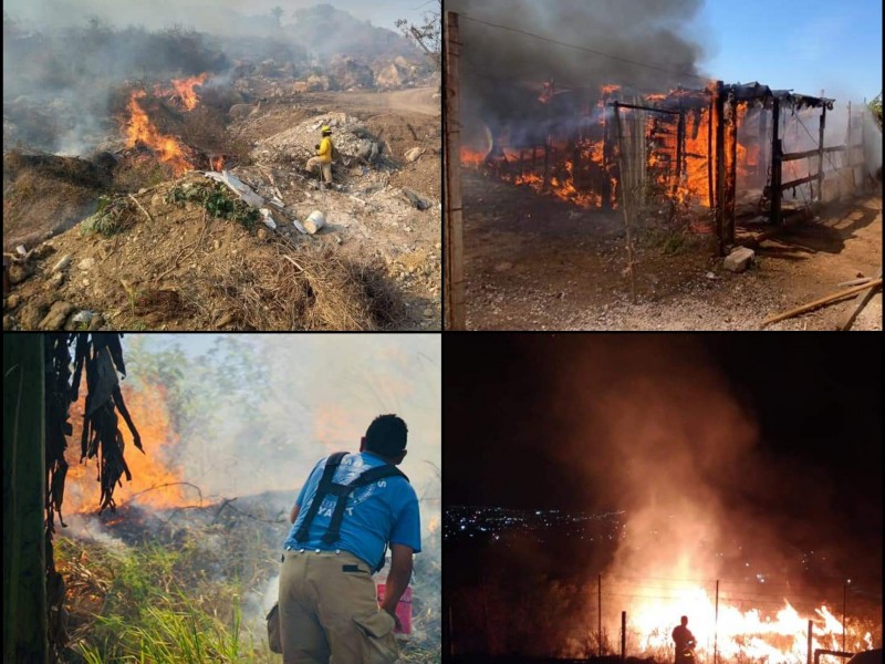 Nayarit afectado por incendios Forestales; registra 7 de gran impacto