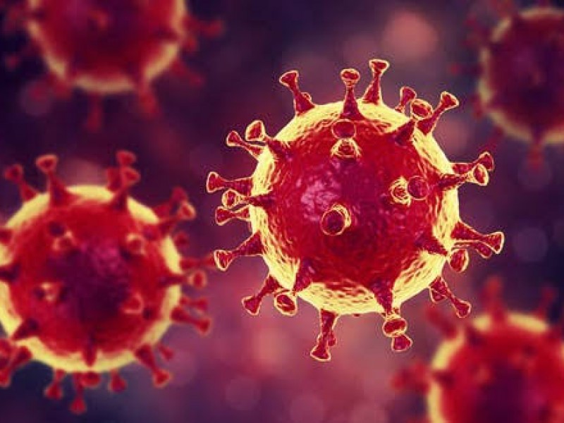 Nayarit con cero casos sospechosos de coronavirus hasta el momento
