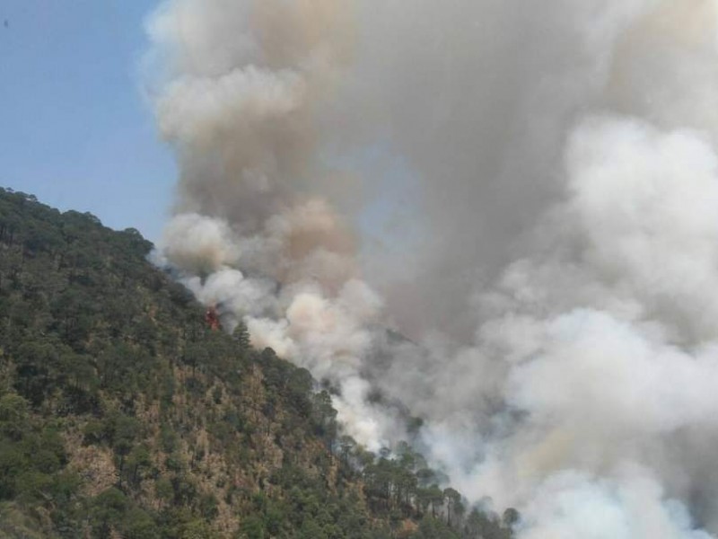 Nayarit entre los 5 estados con incendios en Áreas Protegidas