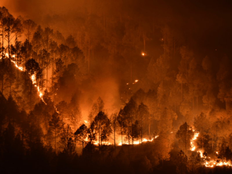 Nayarit mantiene siete incendios activos