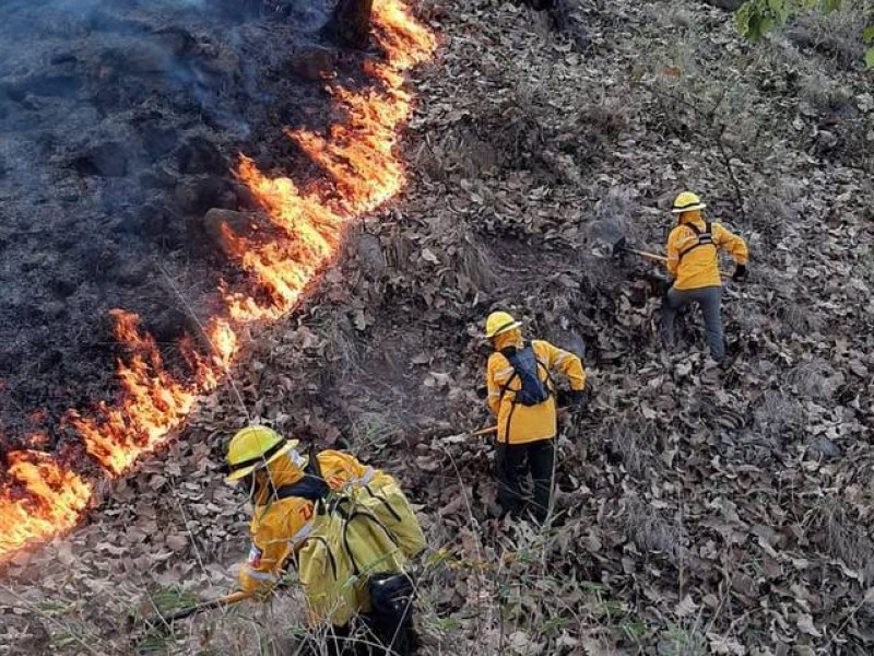 Nayarit mantiene 8 incendios forestales activos