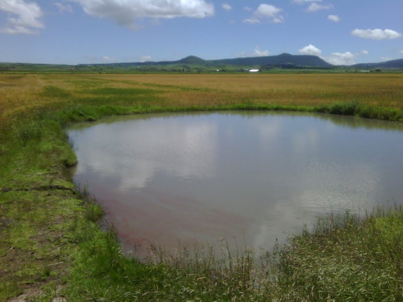 Nayarit prepara proyecto de captación de agua pluvial