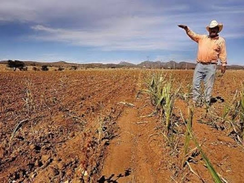 Nayarit registra alta intensidad de sequía en sus 20 municipios