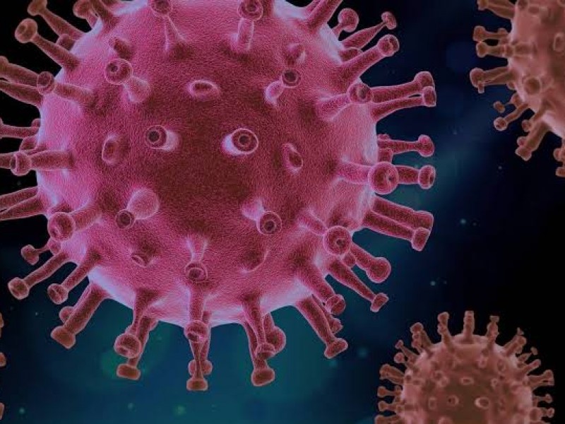 Nayarit registró 15 nuevos contagios de COVID-19 este sábado