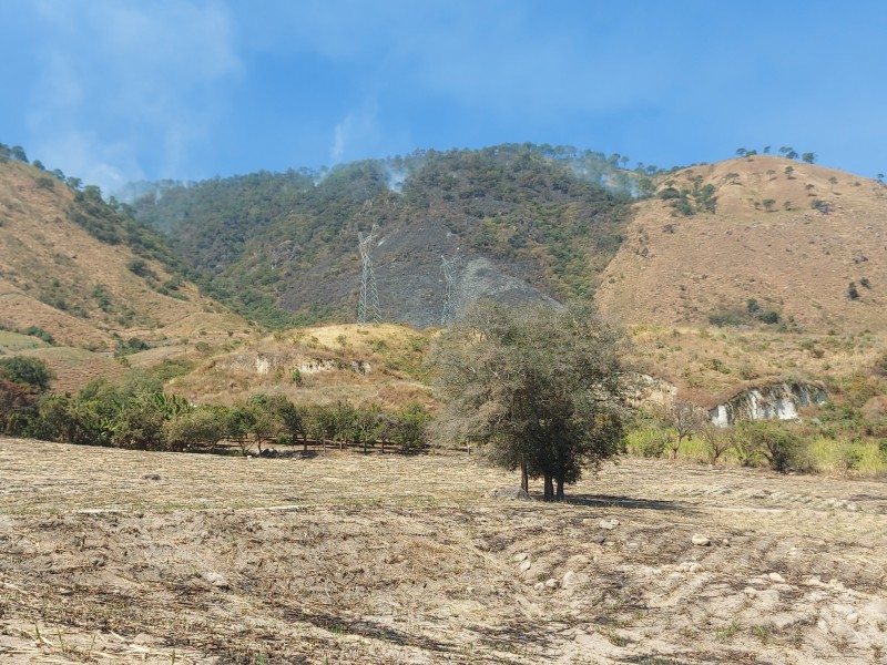 Nayarit será integrado a entrega de fertilizantes para agricultores