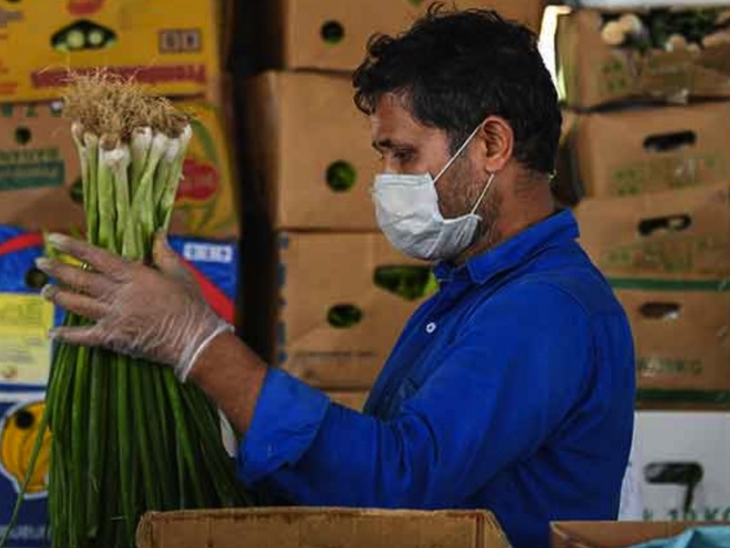 Nayarit tardará 2 años en recuperar los empleos perdidos