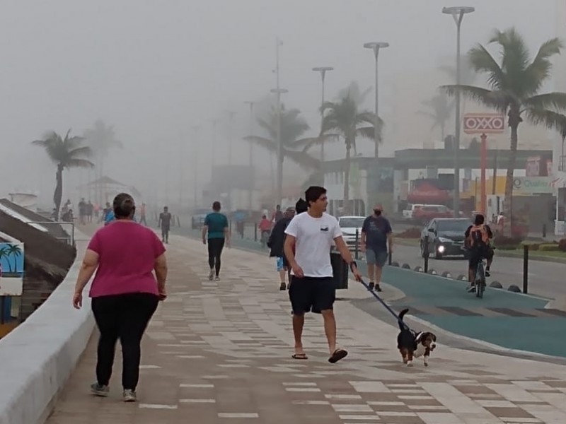 Neblina en el puerto llega retrasada