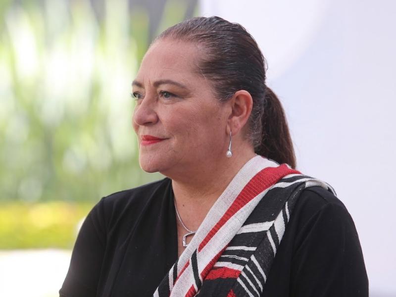 Necesaria, salida de Taddei del Instituto Nacional Electoral: Participación Ciudadana 29