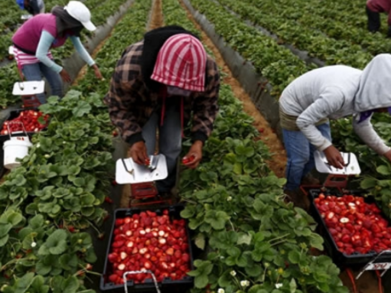 Necesarias fuentes de empleo para regular fenómeno migratorio