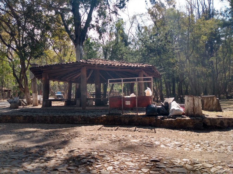 Necesario aumentar mantenimiento del bosque Cuauhtémoc de Jiquilpan