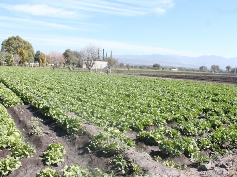 Necesario comenzar a tecnificar el campo en Cuayucatepec