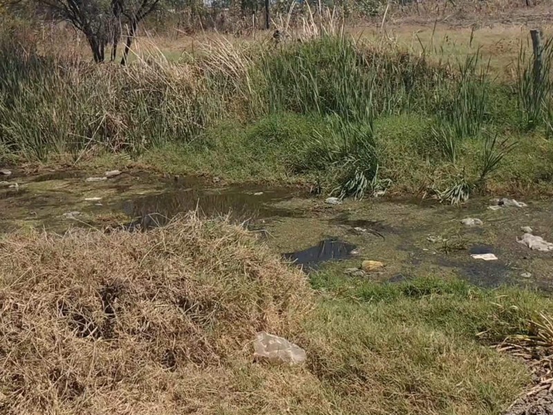Necesario desazolvar drenes y canales en la región Ciénega