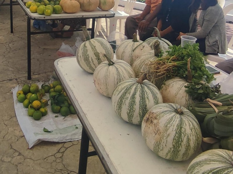 Necesario promover transición agroecológica