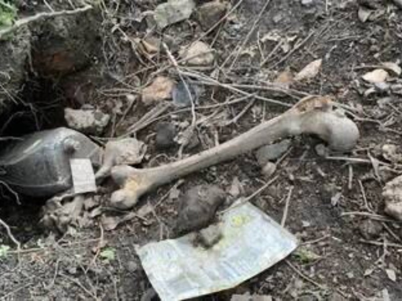 Necesario que familias entreguen perfil genético para avanzar en identificaciones: Buscadoras Zacatecas