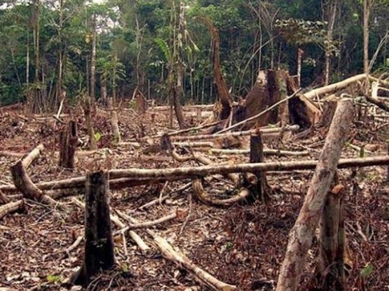 Necesario reforzar políticas públicas para la conservación de recursos naturales