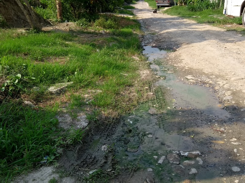 Denuncian falta de drenaje en colonia Las Granjas