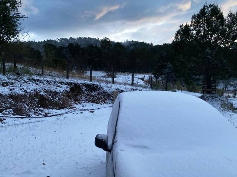 Nevadas en 6 estados por tormenta invernal