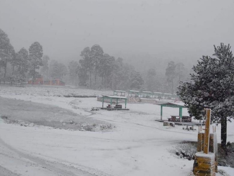 Sorprende caída de nieve en el 