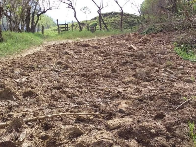 Ni en afectaciones por lluvias llegan apoyos al campo