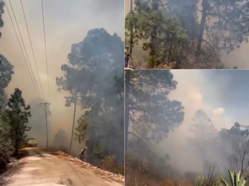 Nicolás Bravo: Más de 10 hectáreas consumidas por incendio forestal