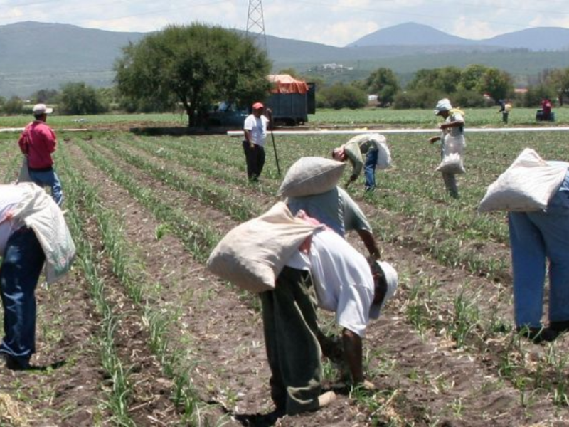 Niega gobierno federal declaratoria de emergencia a 7 municipios