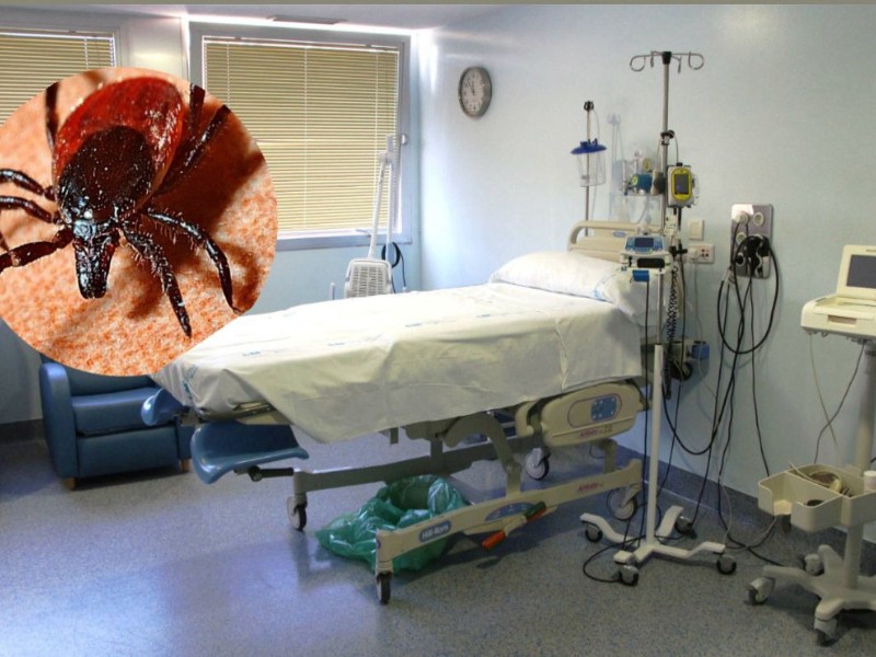 Niña de 7 años hospitalizada con rickettsia podría recibir alta hoy