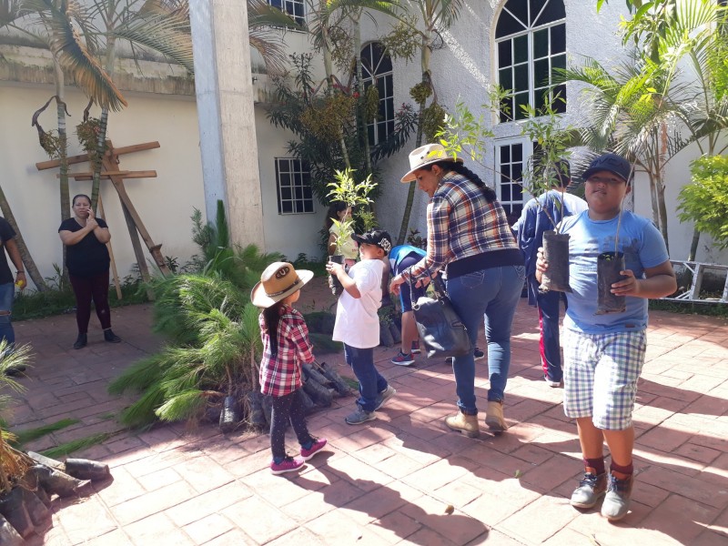 Niños buscan reforestar más de 10 mil árboles