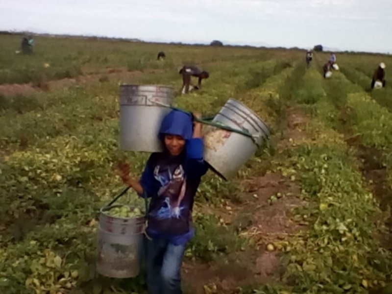 Niños siguen siendo trasladados al campo