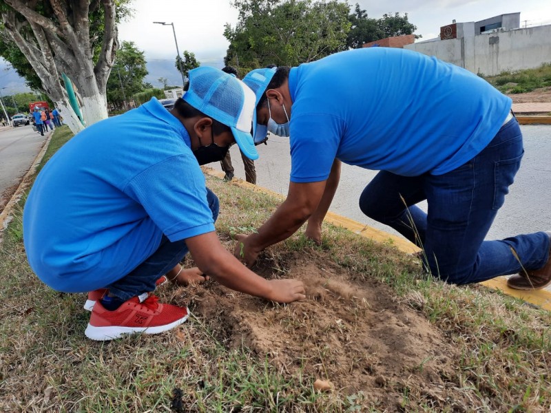 Niños y niñas realizan tareas de reforestación