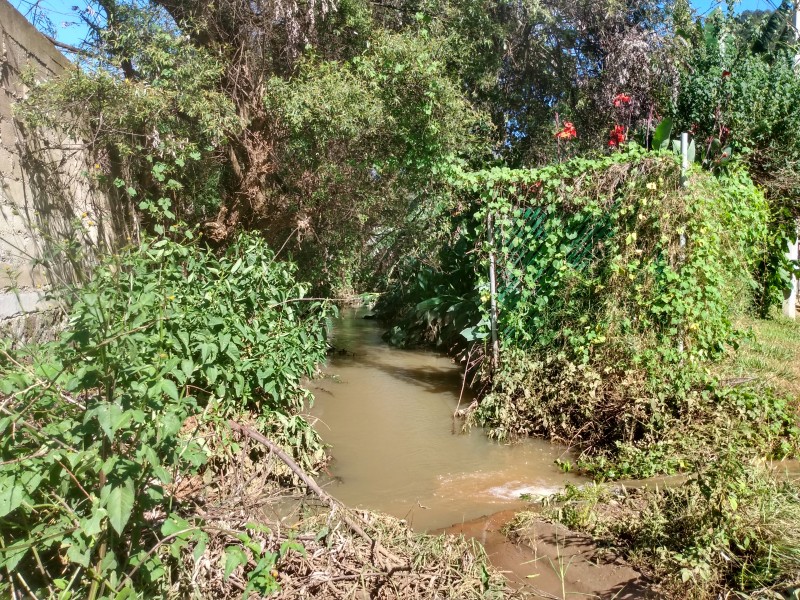 Nivel de río  afecta  inmuebles tenancinguenses